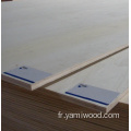 15 mm 18 mm blanc EV Eucalyptus Core Plywood